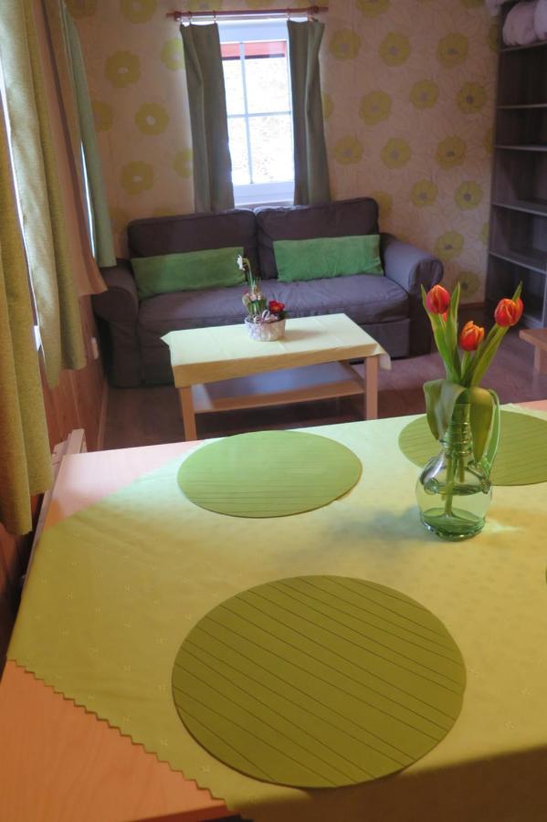 Apartments Skiareal U Vodarny Bedrichov Янов-над-Нисоу Экстерьер фото